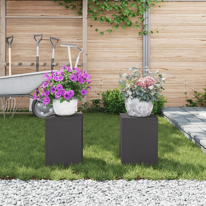 Buitplantenstandaards Pilaar 2 Stuks 24X24X35 Cm Staal Zwart 2x (35 cm)