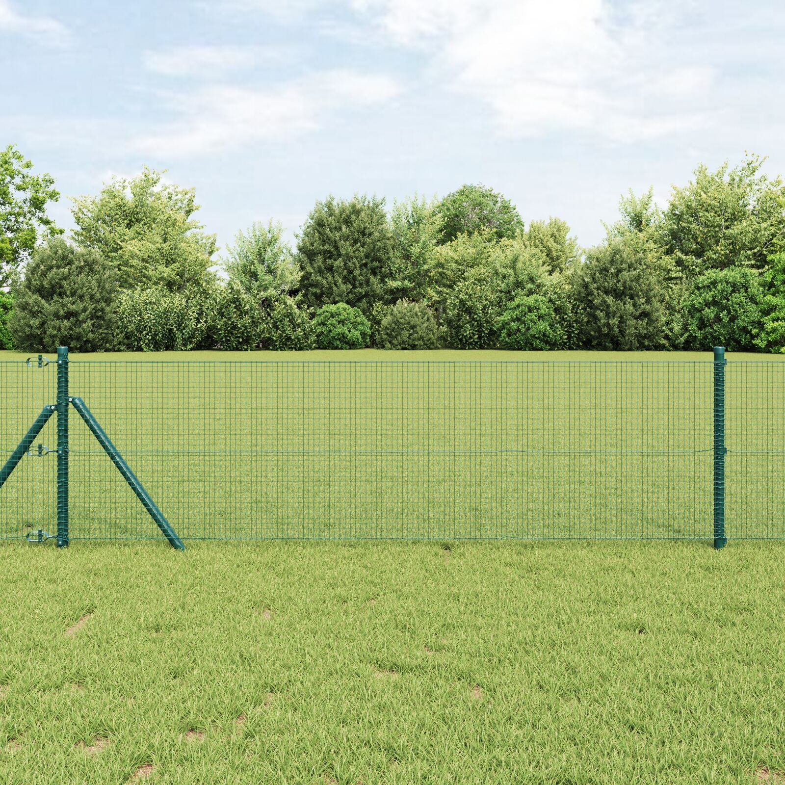 Lassen Draadhek Met 13 Palen Groen 0.6X100 M Staal Gegalvaniseerd Staal