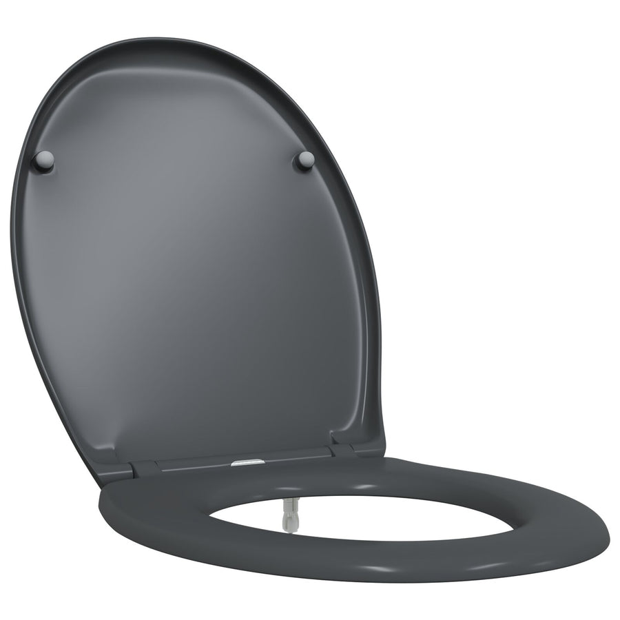 Snelsluittoiletzitting Met Zachte Sluiting Duroplast Anthraciet