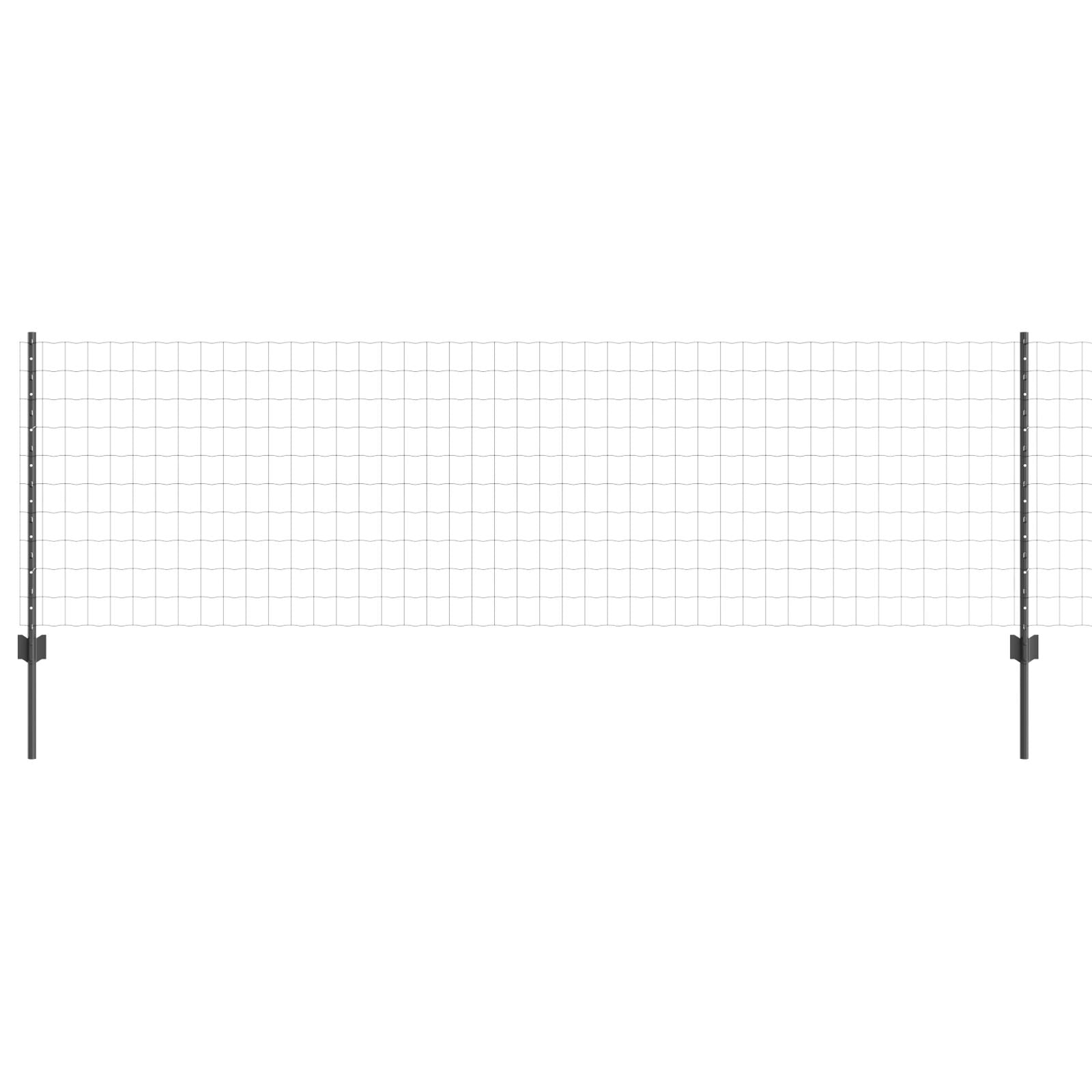 Euro Hekset Set Van 2 Grijs Staal 10 X 0.8 M Duurzaam