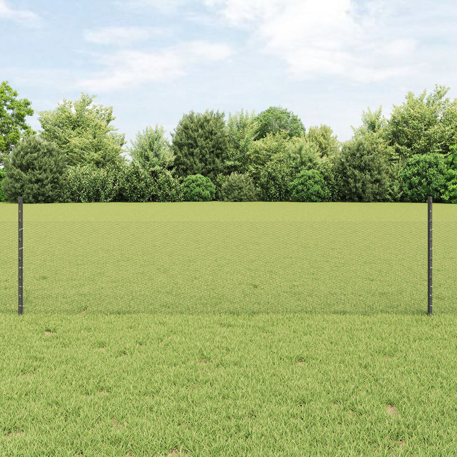 Tuinhekset Set Van 2 Grijs Staalgaas 25 X 0.5 M Hek Draagbaar