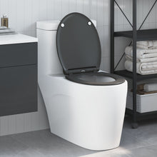 Quick Release Toiletbril Met Soft Close Duroplast Anthraciet