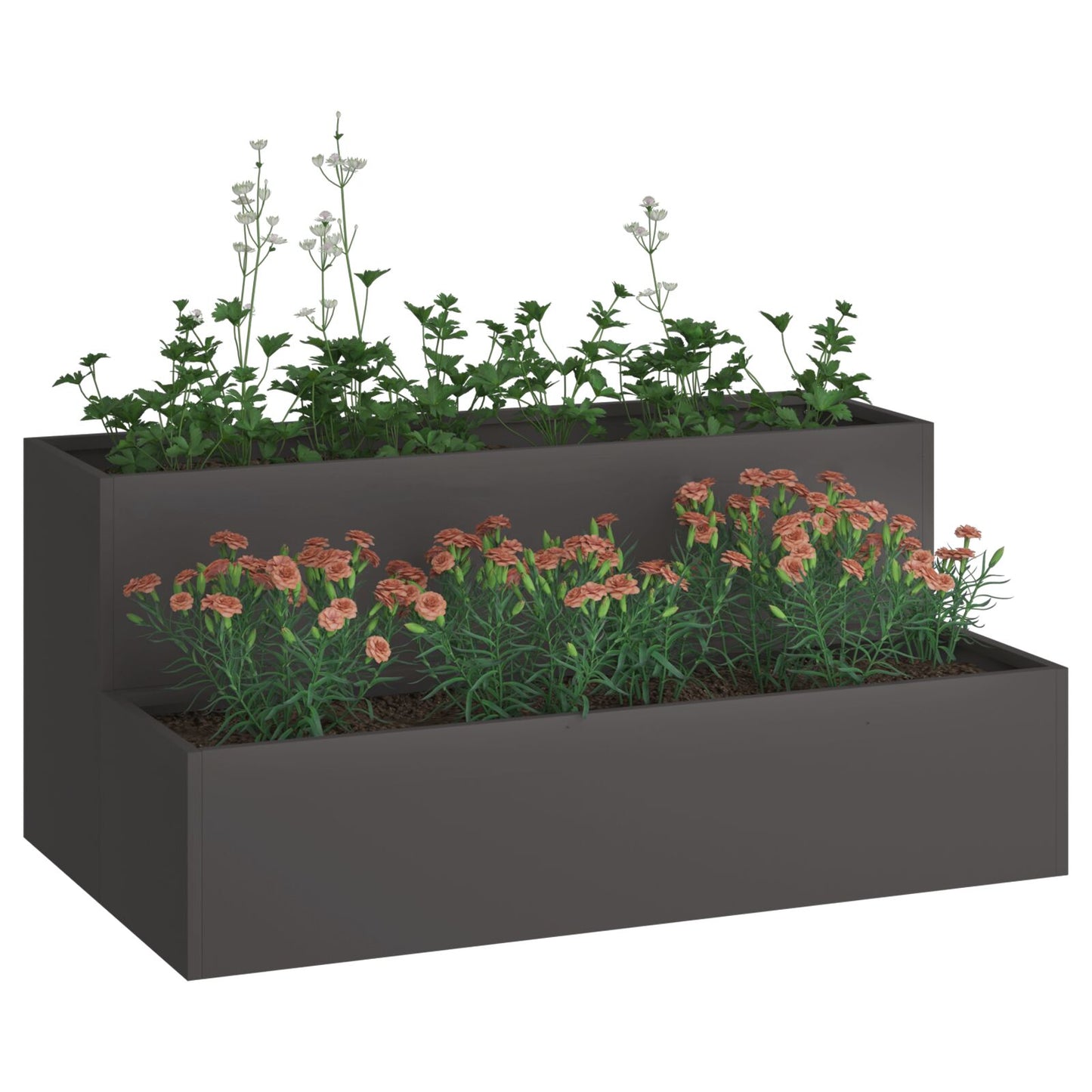 Tuin Planter - 2-Tier Staal, 100 x 60 x 45 cm Zwart