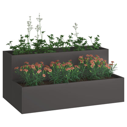 Tuin Planter - 2-Tier Staal, 100 x 60 x 45 cm Zwart