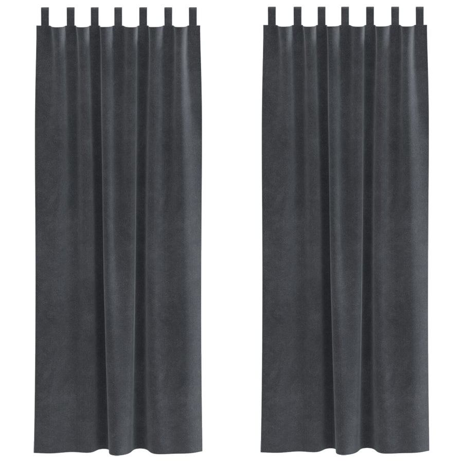 Zwarte Gordijnen Met Hanglussen 2 Stuks Fluweel Lichtgrijs 140 x 245 cm met ophanglussen
