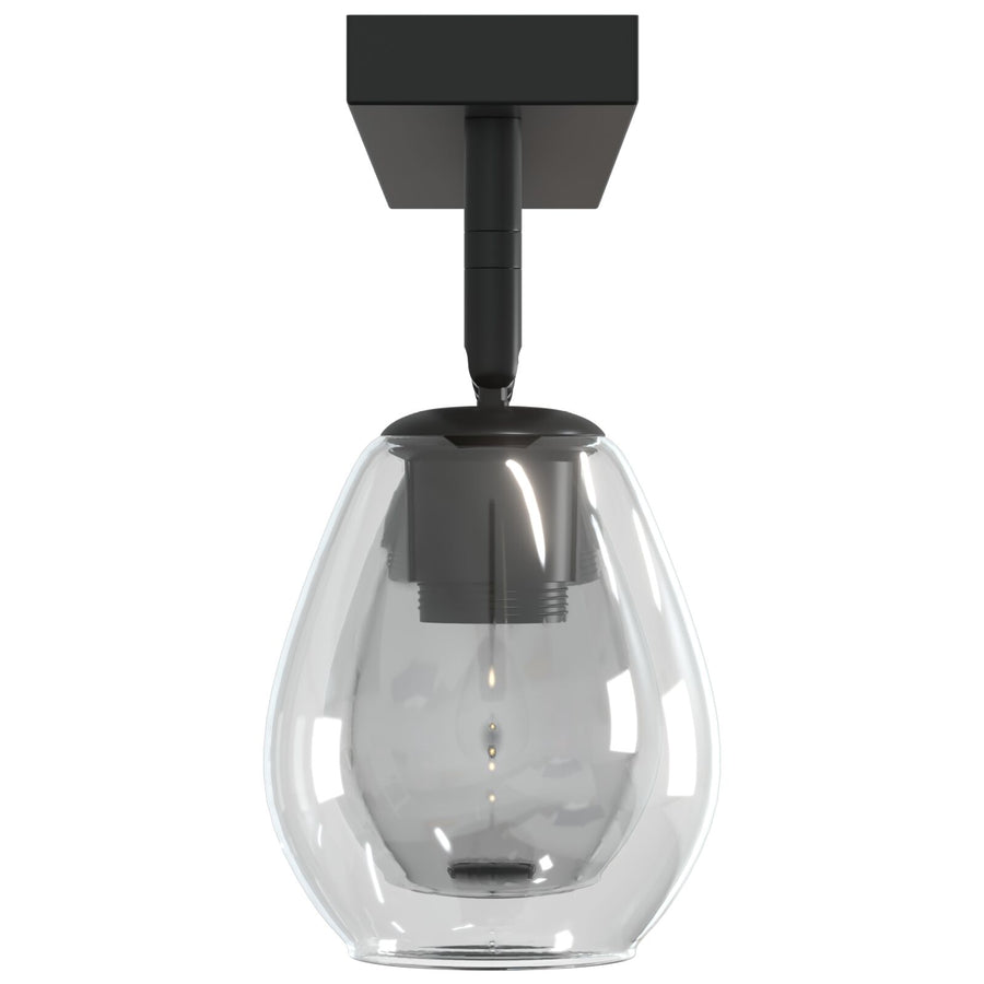 Plafondlamp Met Verstelbare Glazen Lampenkap In Antraciet, E27 3