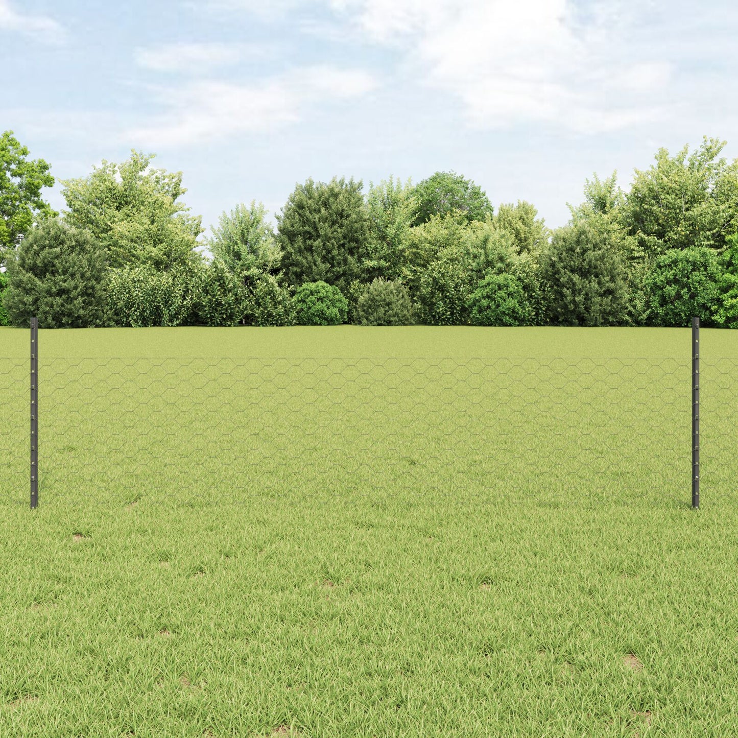 Hexagonaal Tuinhek Set Set Van 2 Grijs Staal 25 X 0.5M Duurzaam
