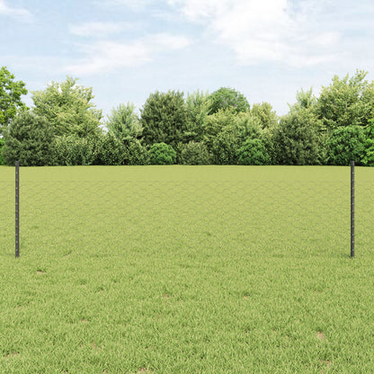 Hexagonaal Tuinhek Set Set Van 2 Grijs Staal 25 X 0.5M Duurzaam