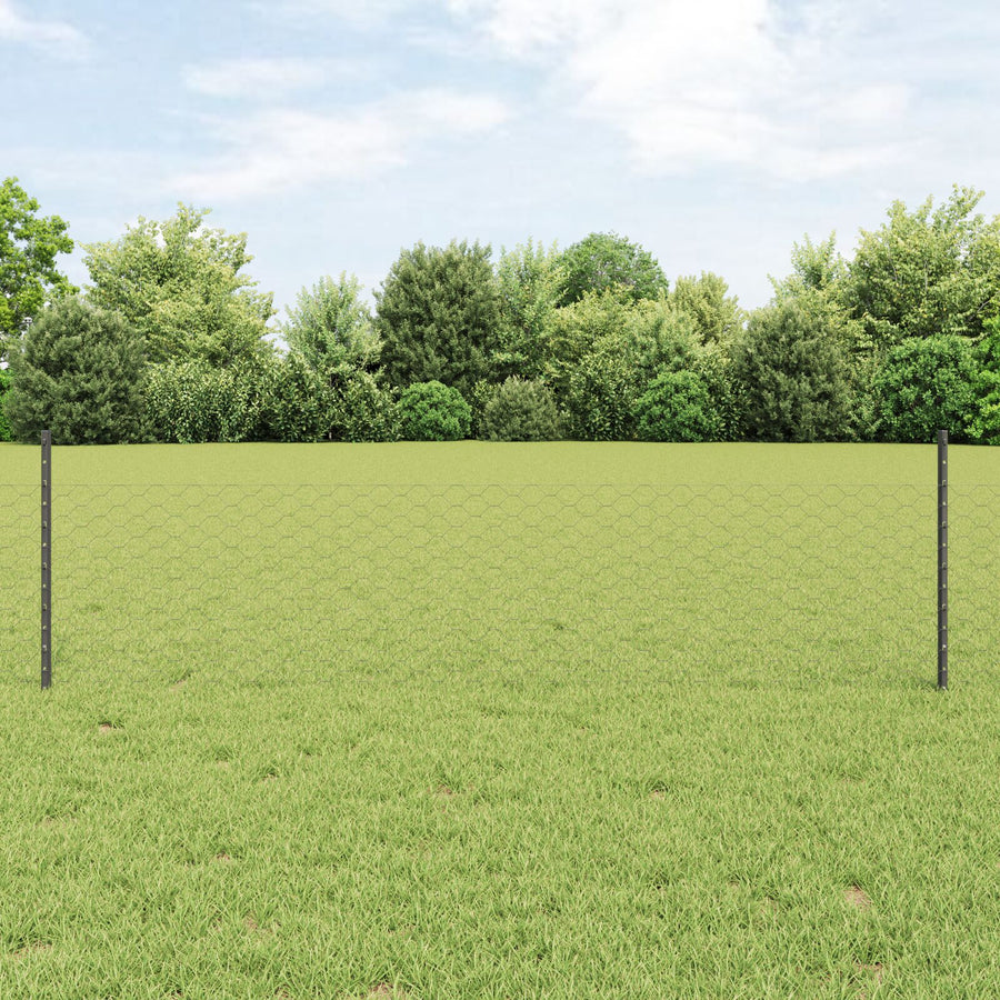 Hexagonaal Tuinhek Set Set Van 2 Grijs Staal 25 X 0.5M Duurzaam