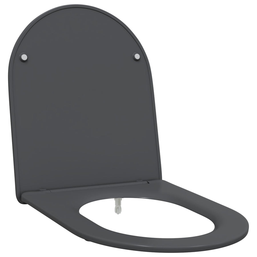 Snelle Toiletbril Met Zachte Sluiting Duroplast Anthraciet