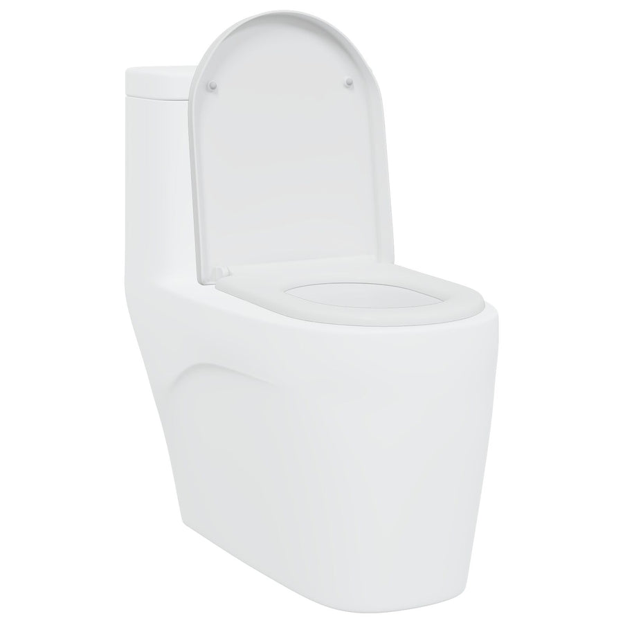 Snelsysteem Toiletbril Met Zachte Sluit Duroplast Wit