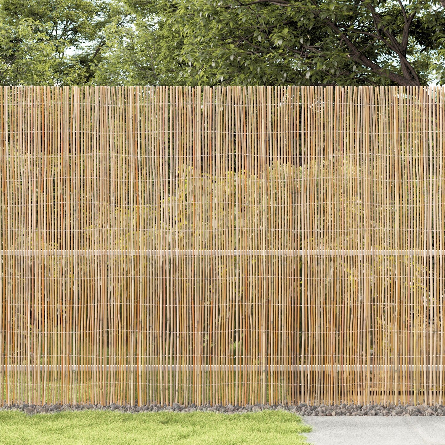 Bamboe Hek 500 x 150 cm