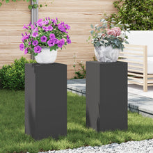 Buiten Plant Stands Pillar 2 Stuks 24X24X55 Cm Staal Zwart 2x (55 cm)