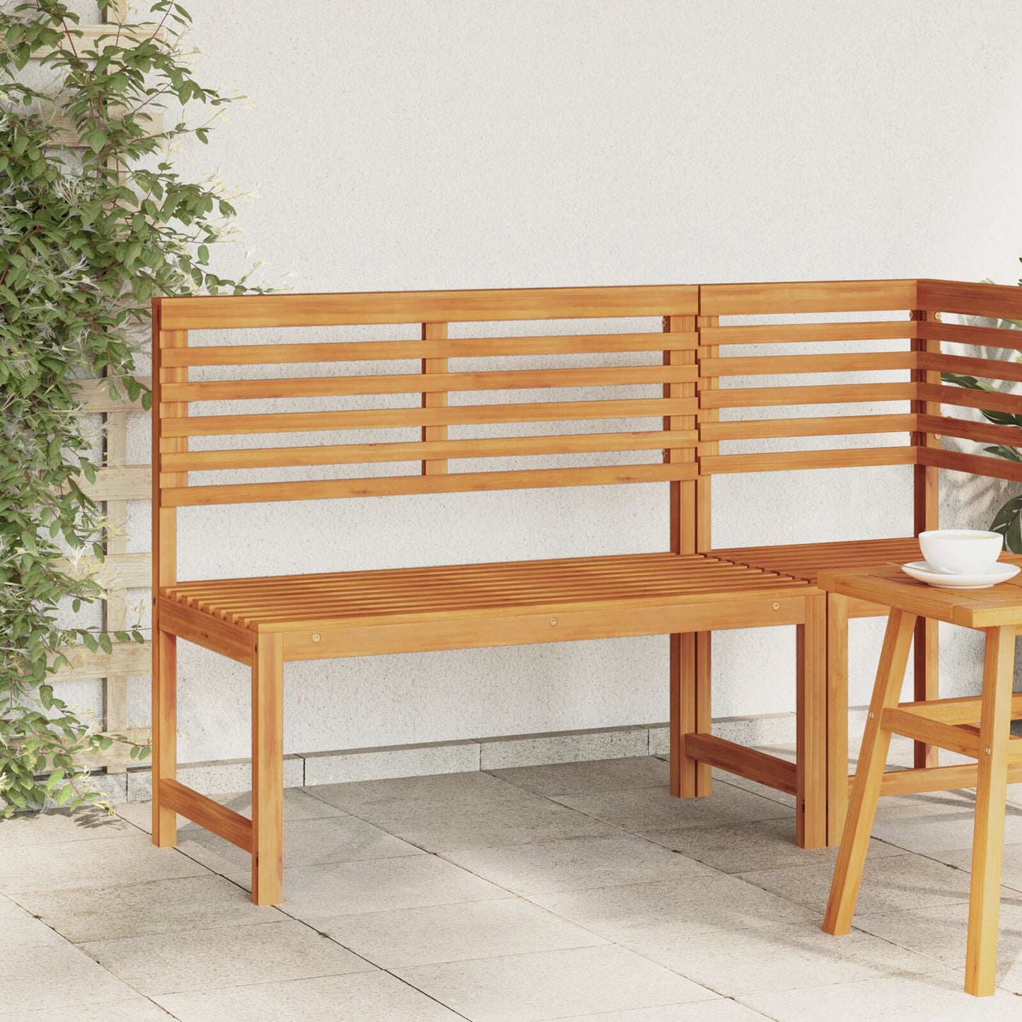 Tuin 100X50X91 Cm Massief Acaciahout zonder kussen Bank