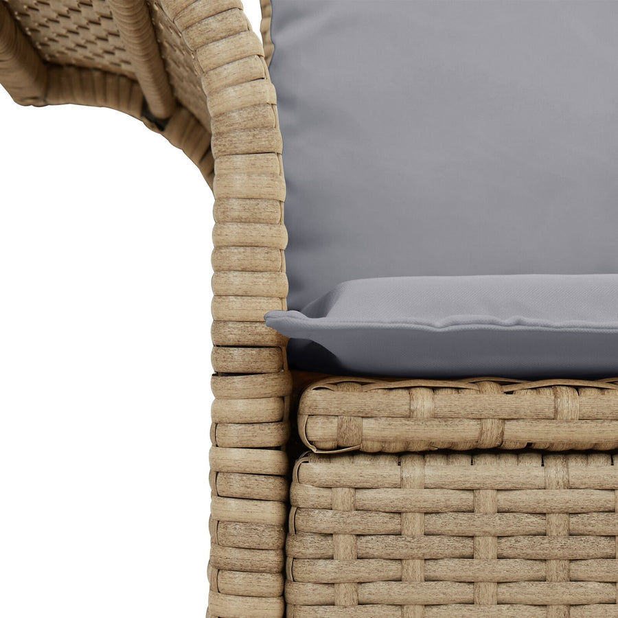 2-Zits Tuin Sofa & Kussens Poly Rattan Beige en grijs met opslag