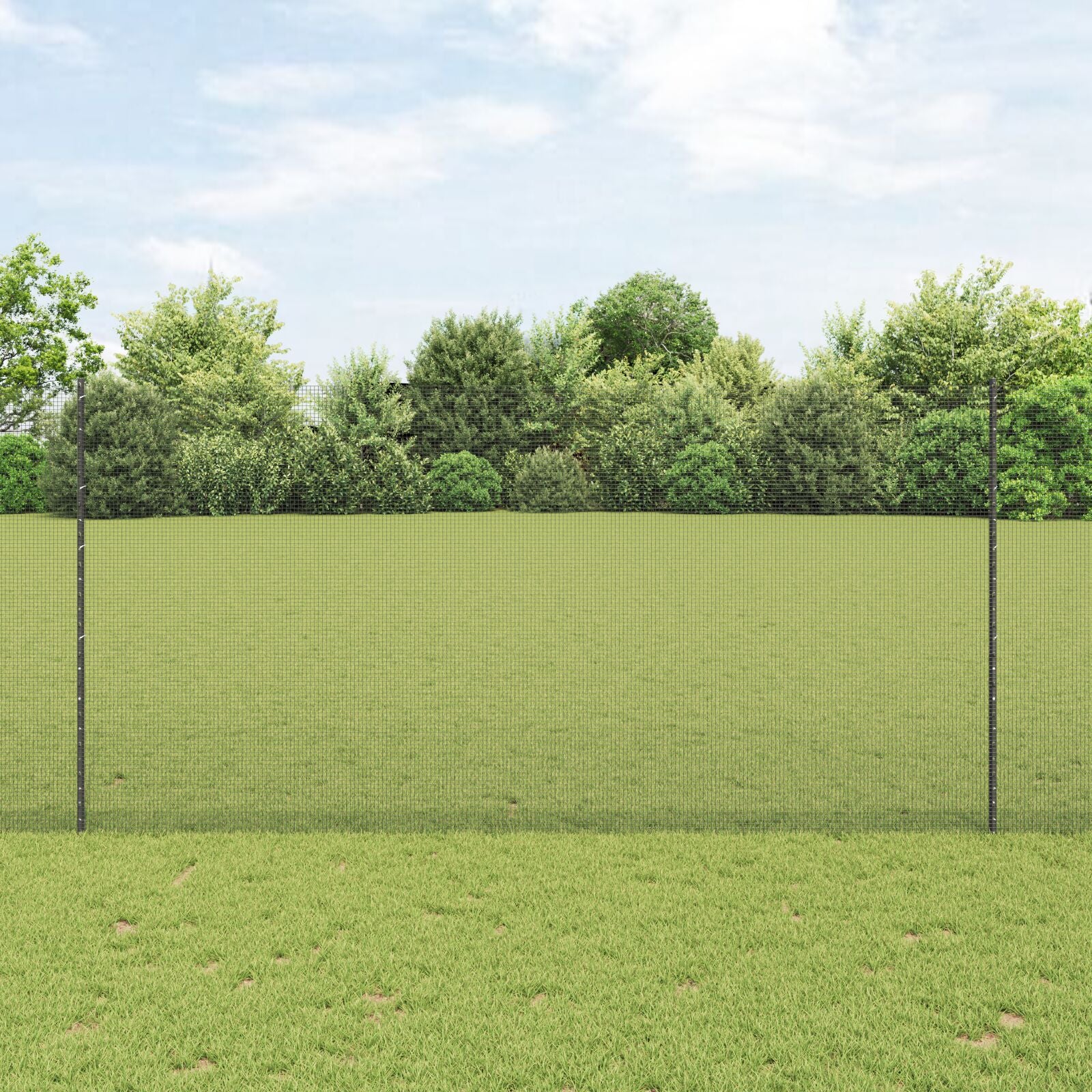 Gelaste Draadomheining Met 10 U Palen Grijs 1.6X10 M Staal