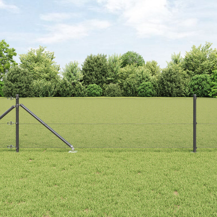 Gelaste Draadhek Met 13 Puntige Posts Grijs 0.4X25 M Staal Gegalvaniseerd Staal