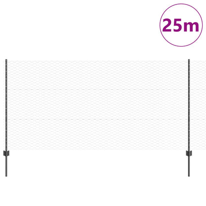 Metalen Tuinhek Set Set Van 2 Grijs, Zwart Metalen 25 X 1.2 M