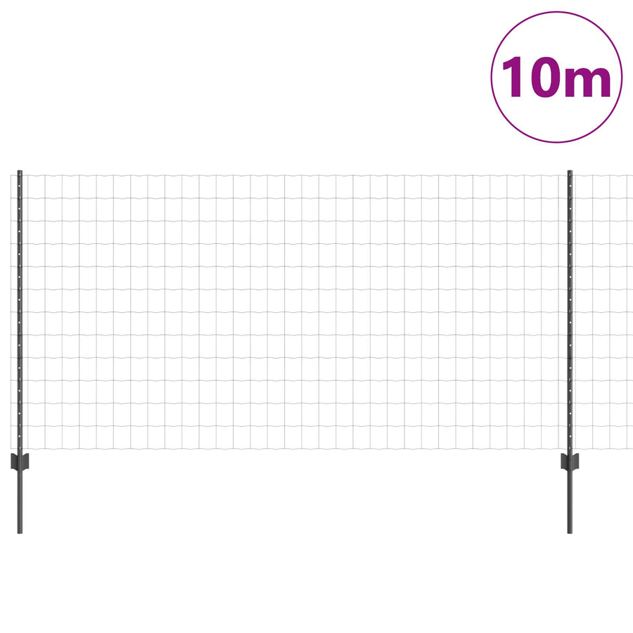 Euro Hek Met 10 U-Pinnen Grijs 1,2X10 M Staal