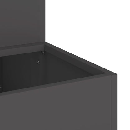 Tuin Planter - 2-Tier Staal, 100 x 60 x 45 cm Zwart