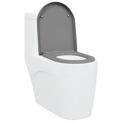 Snelle Verwijderings Toiletzitting Met Zachte Sluiting Duroplast Grijs