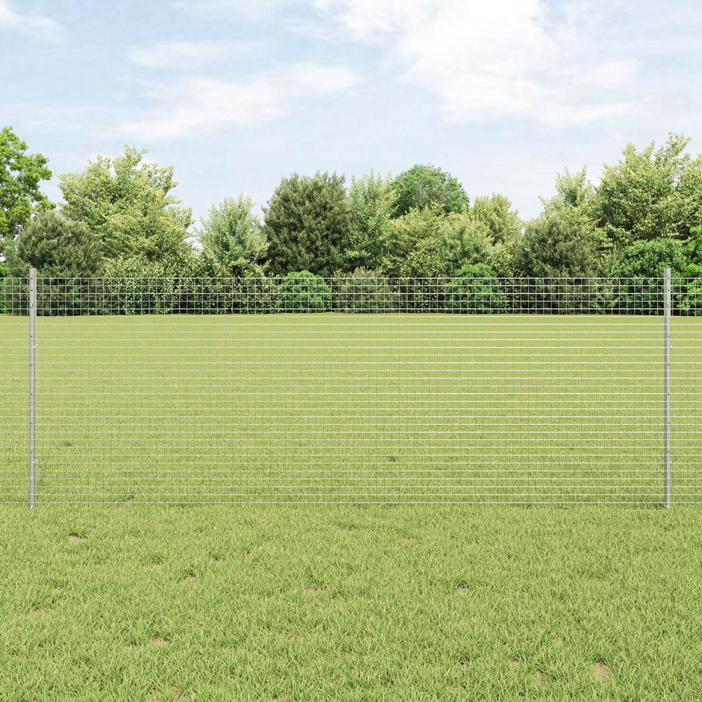 Gelaste Draadhek Met 22 U-Palen Zilver 0.8X50 M Staal