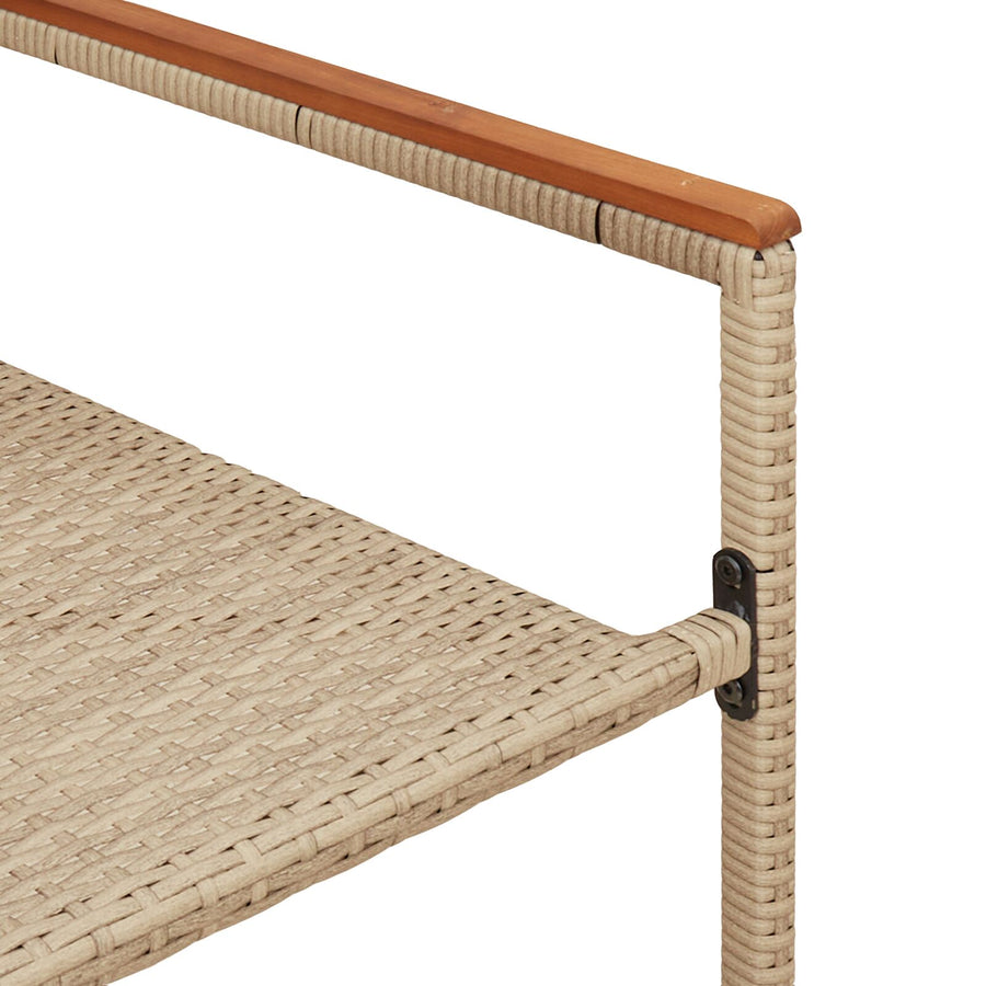 Stapelbare Tuinstoelen Met Kussens 2 Stuks Poly Rattan Beige Riet