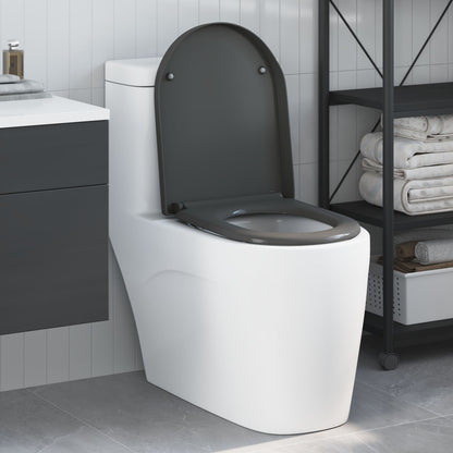 Snelsluit Toiletzitting Met Soft Close Duroplast Anthraciet
