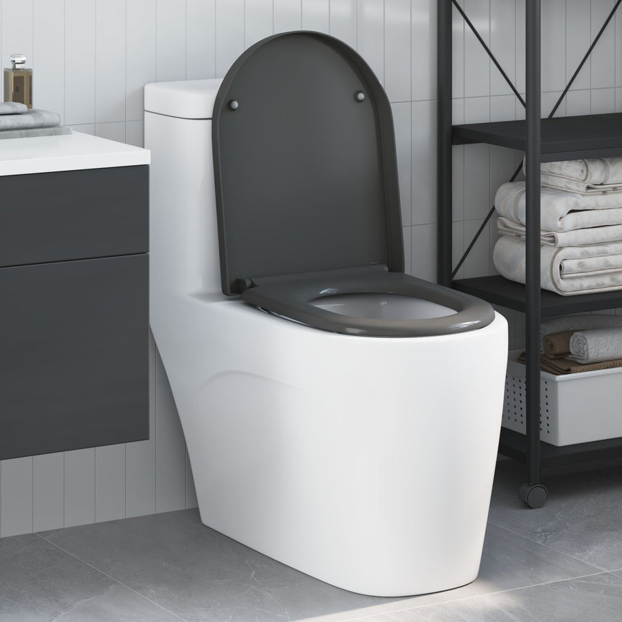 Snelsluit Toiletzitting Met Soft Close Duroplast Anthraciet