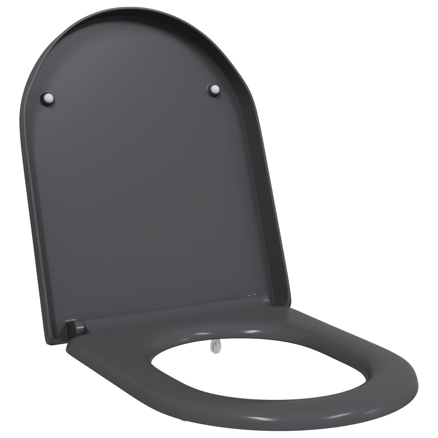 Snelsluit Toiletzitting Met Soft Close Duroplast Anthraciet