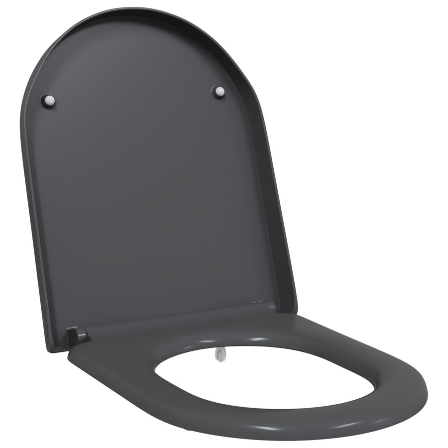 Snelsluit Toiletzitting Met Soft Close Duroplast Anthraciet