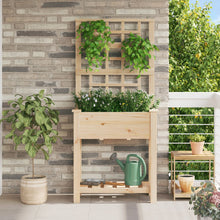 Tuinbak Met Trellis En Plank 71X37X152 Cm Massief Vurenhout 71 x 38 x 152 cm