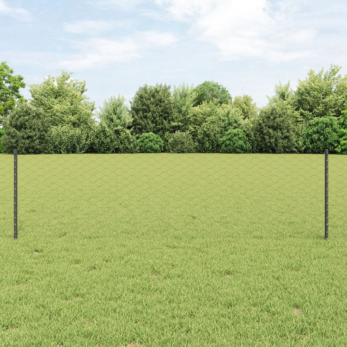 Hekpalen 11 Stuks U-Kanaal Grijs 60 Cm Staal,  Hexagonaal Hek Grijs 0.6X25 M Staal