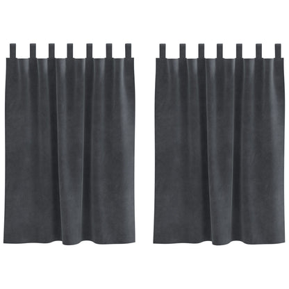Zwarte Gordijnen Met Hanglussen 2 Stuks Fluweel Lichtgrijs 140 x 140 cm met lussen