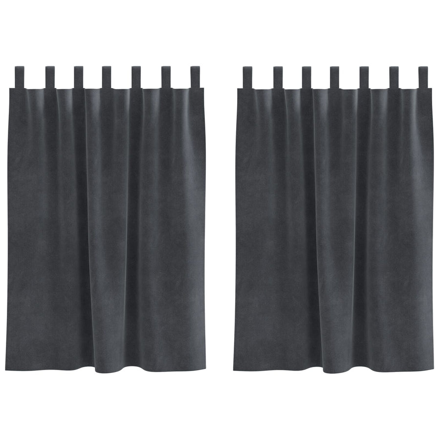 Zwarte Gordijnen Met Hanglussen 2 Stuks Fluweel Lichtgrijs 140 x 140 cm met lussen