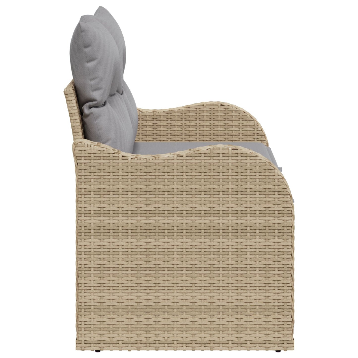 2-Zits Tuinbank Met Opbergruimte & Kussens Poly Rattan Beige en grijs met opslag