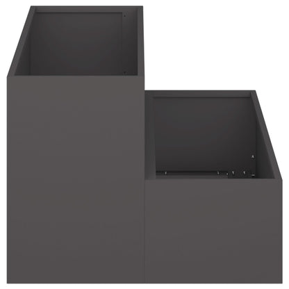 Tuin Planter - 2-Tier Staal, 100 x 60 x 45 cm Zwart