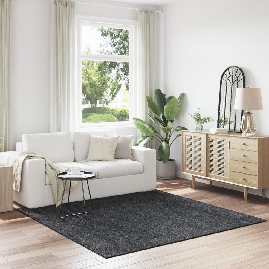 Shaggy Vloerkleed Met Latex Achterkant Donkergrijs 200 x 200 cm