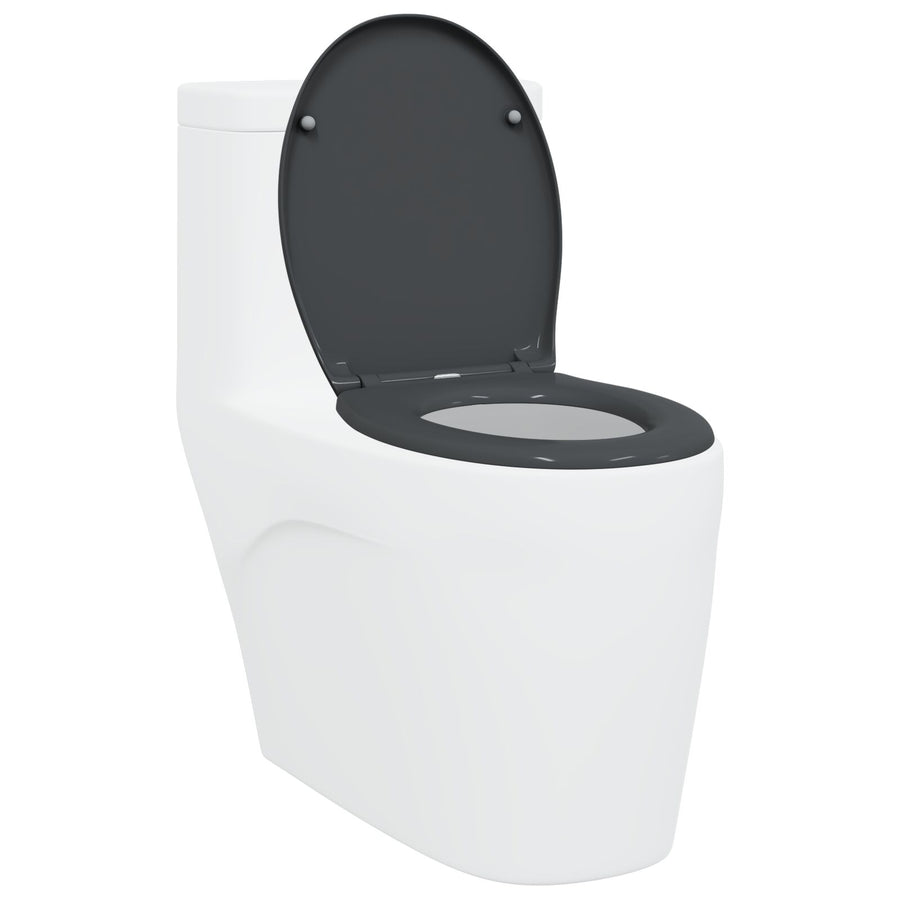 Snelsluittoiletzitting Met Zachte Sluiting Duroplast Anthraciet