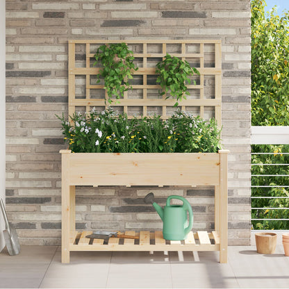 Tuinbak Met Trellis En Plank 115X59X152 Cm Massief Hout Vuren 115 x 60,5 x 153 cm