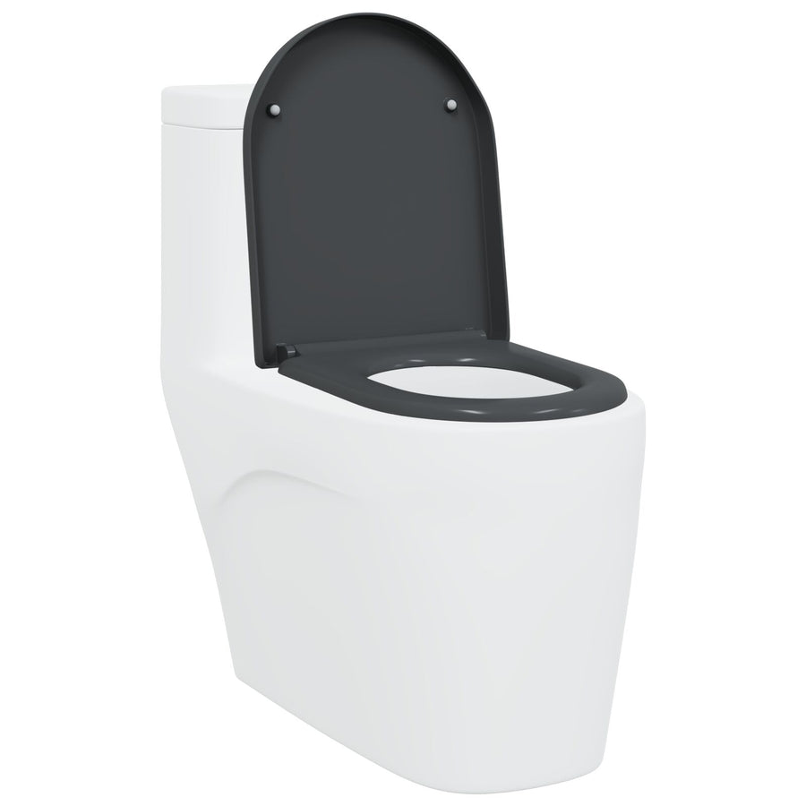 Snelsluit Toiletzitting Met Soft Close Duroplast Anthraciet