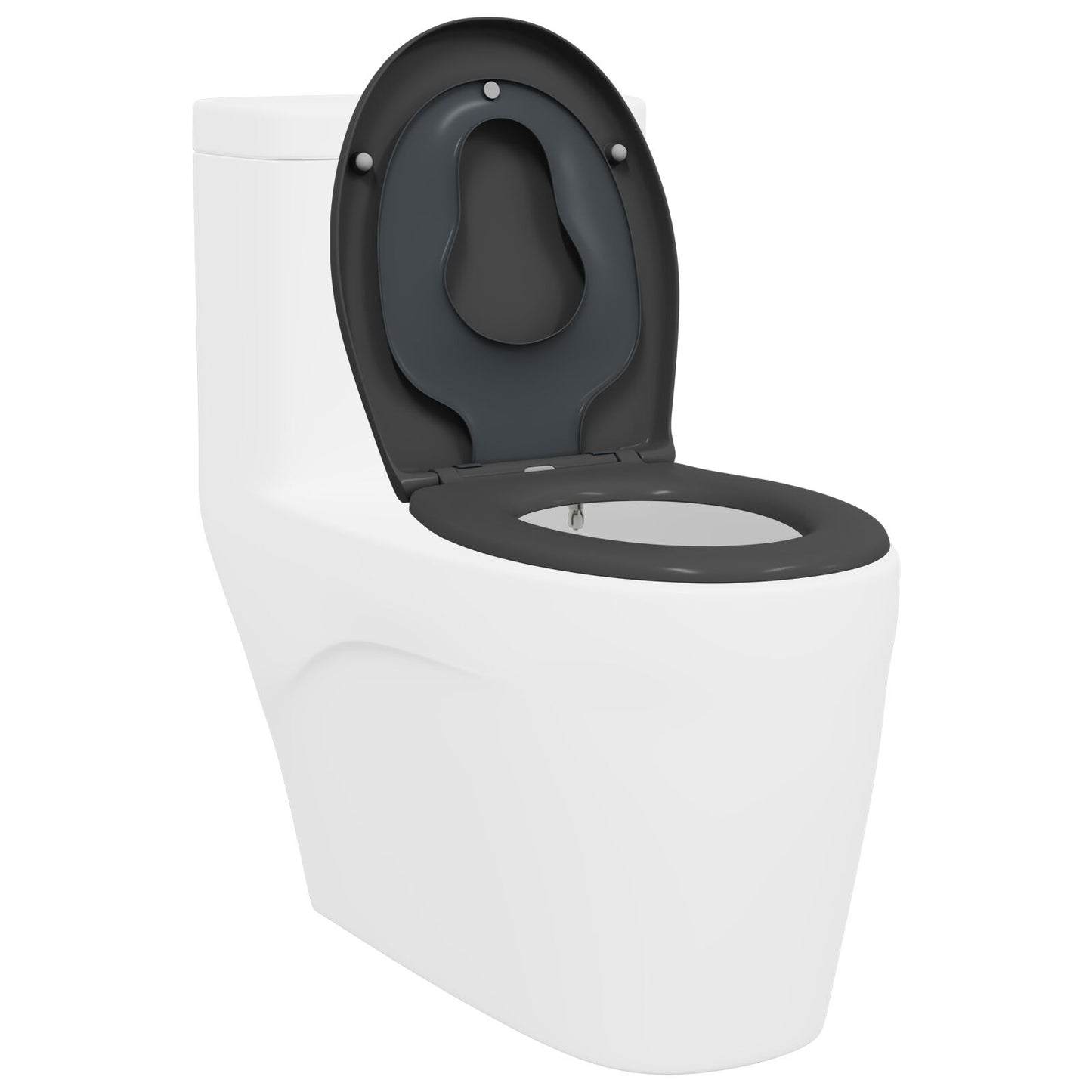 Familie Toiletbril Met Kinderbril Snelle Ontgrendeling Duroplast Anthraciet
