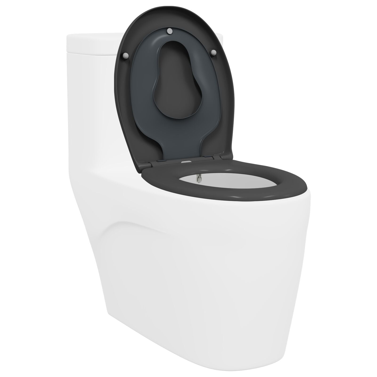 Familie Toiletbril Met Kinderbril Snelle Ontgrendeling Duroplast Anthraciet