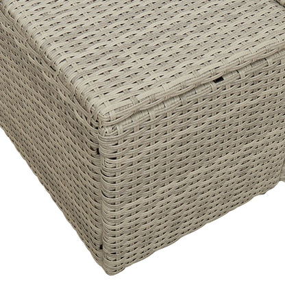 2-Zits Tuin Sofa En Kussens Grijs Poly Rattan Lichtgrijs met opslag