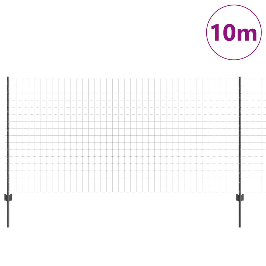 Euro Omheining Set Van 2 Grijs Metaal 10 X 1.2 M Duurzaam