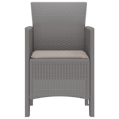 Tuinstoel Set Van 2 Poly Rattan En Staal Standaard Taupe Lichtgrijs