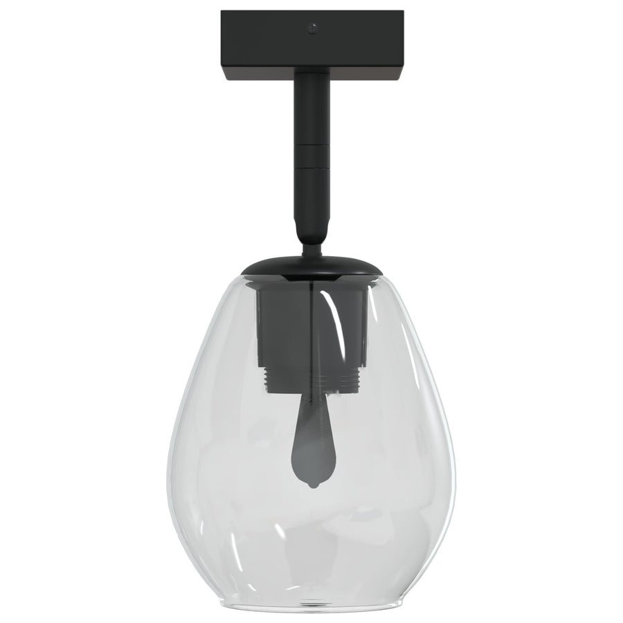 Plafondlampen Met Verstelbare Glazen Kap Anthraciet E27 1
