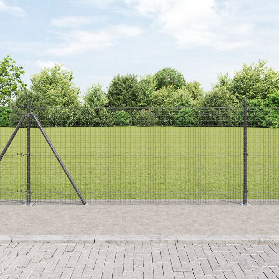 Fence Post Set Set Van 2 Grijs Gepoedercoat Staal, Gaas 10 X 1 M Gegalvaniseerd Staal