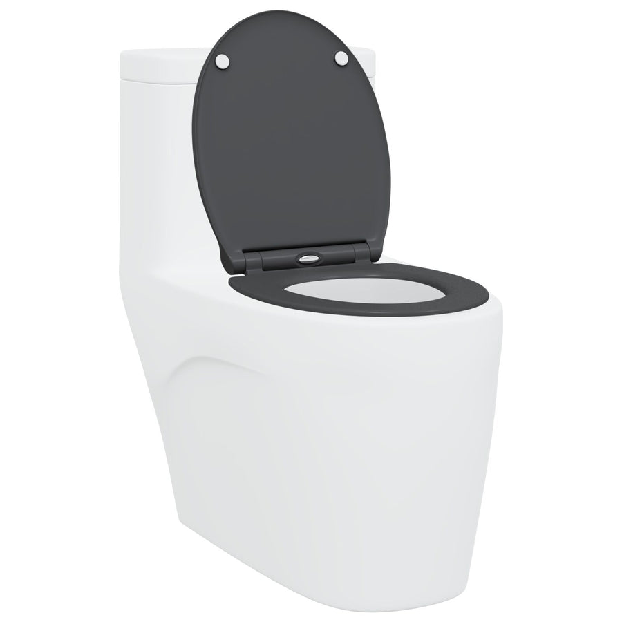 Quick Release Toiletbril Met Soft Close Duroplast Anthraciet