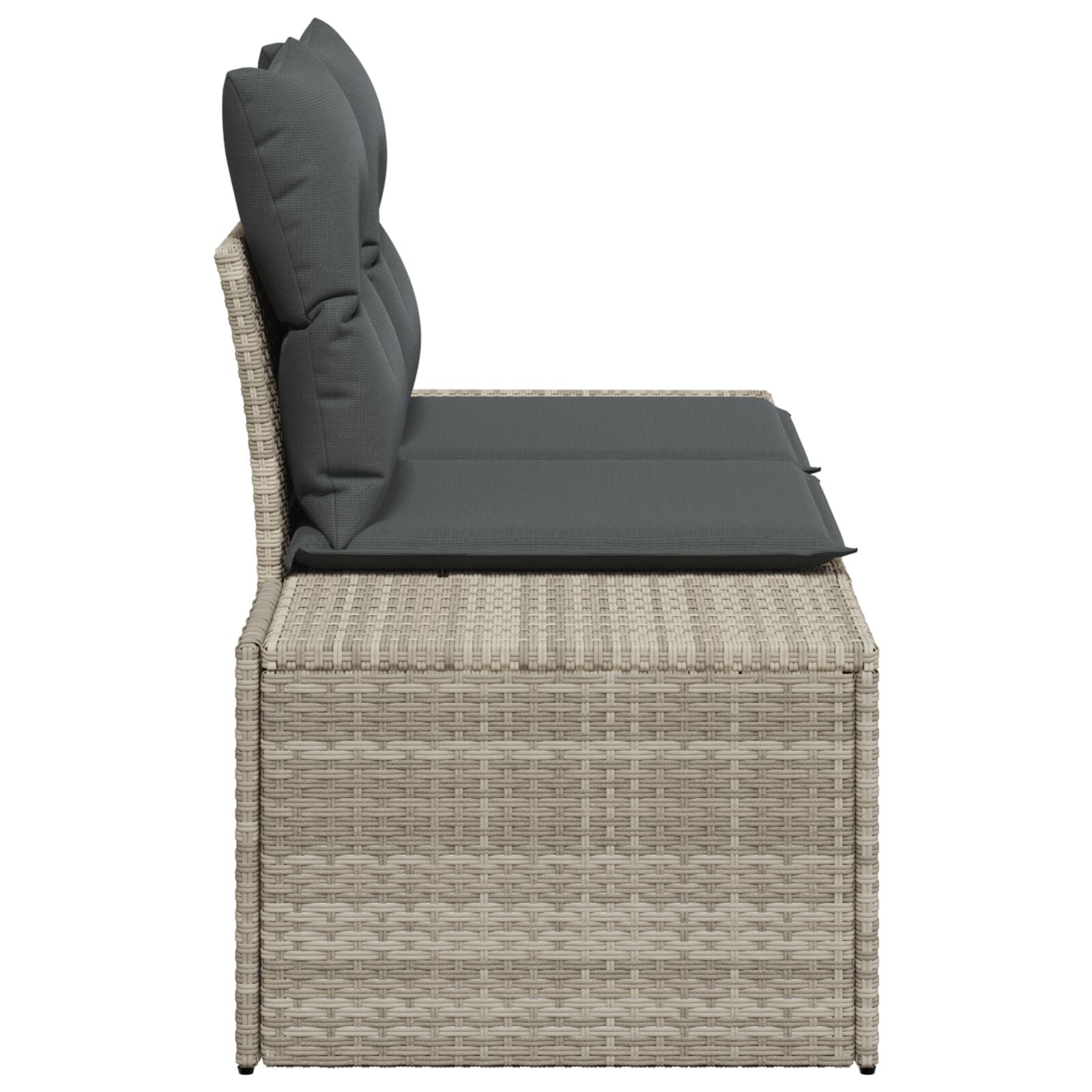 2-Zits Tuin Sofa En Kussens Grijs Poly Rattan Lichtgrijs met opslag